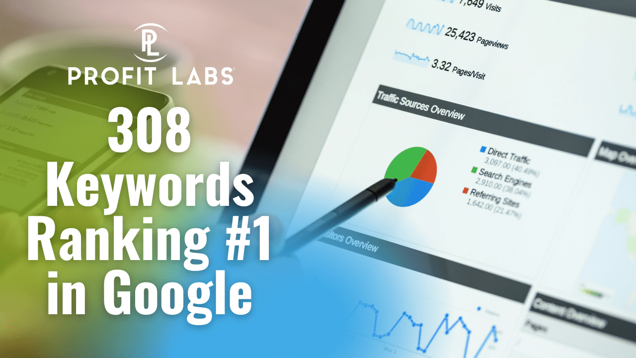 seo case study